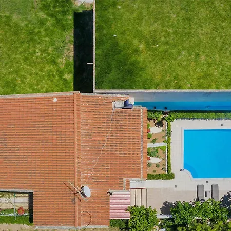 Stunning In Corinthias